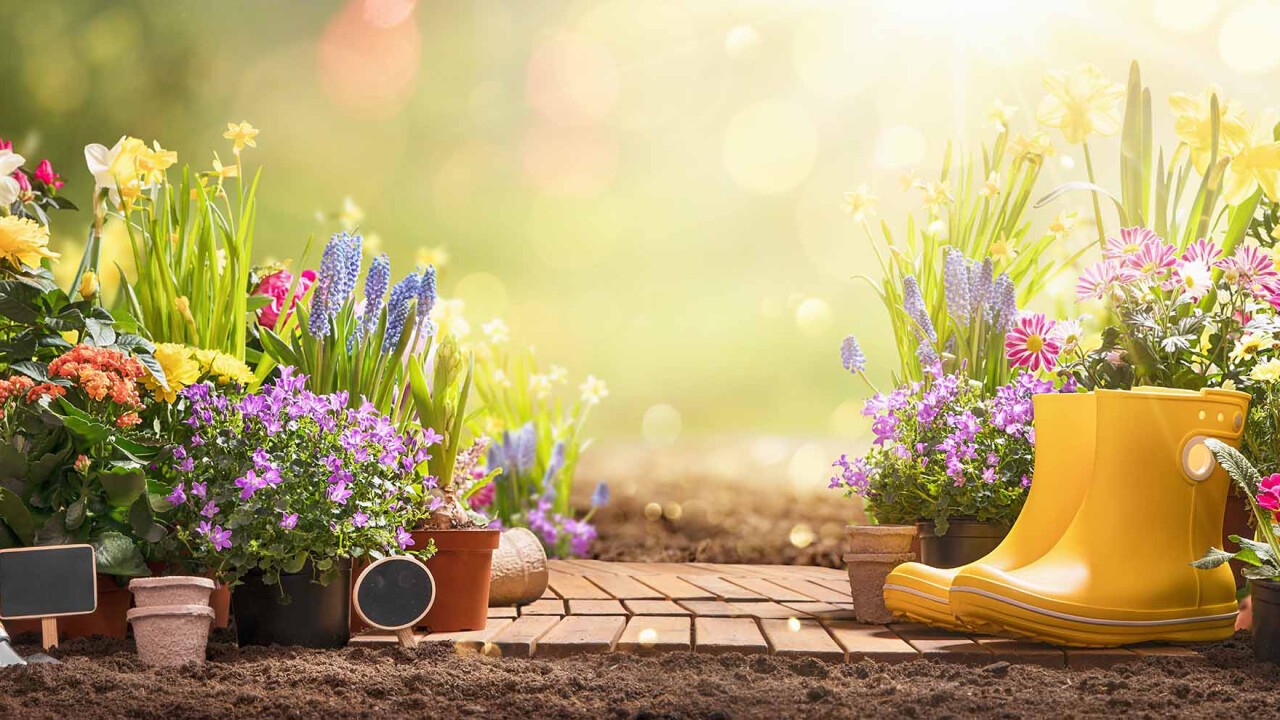 Garten der Digitalisierung