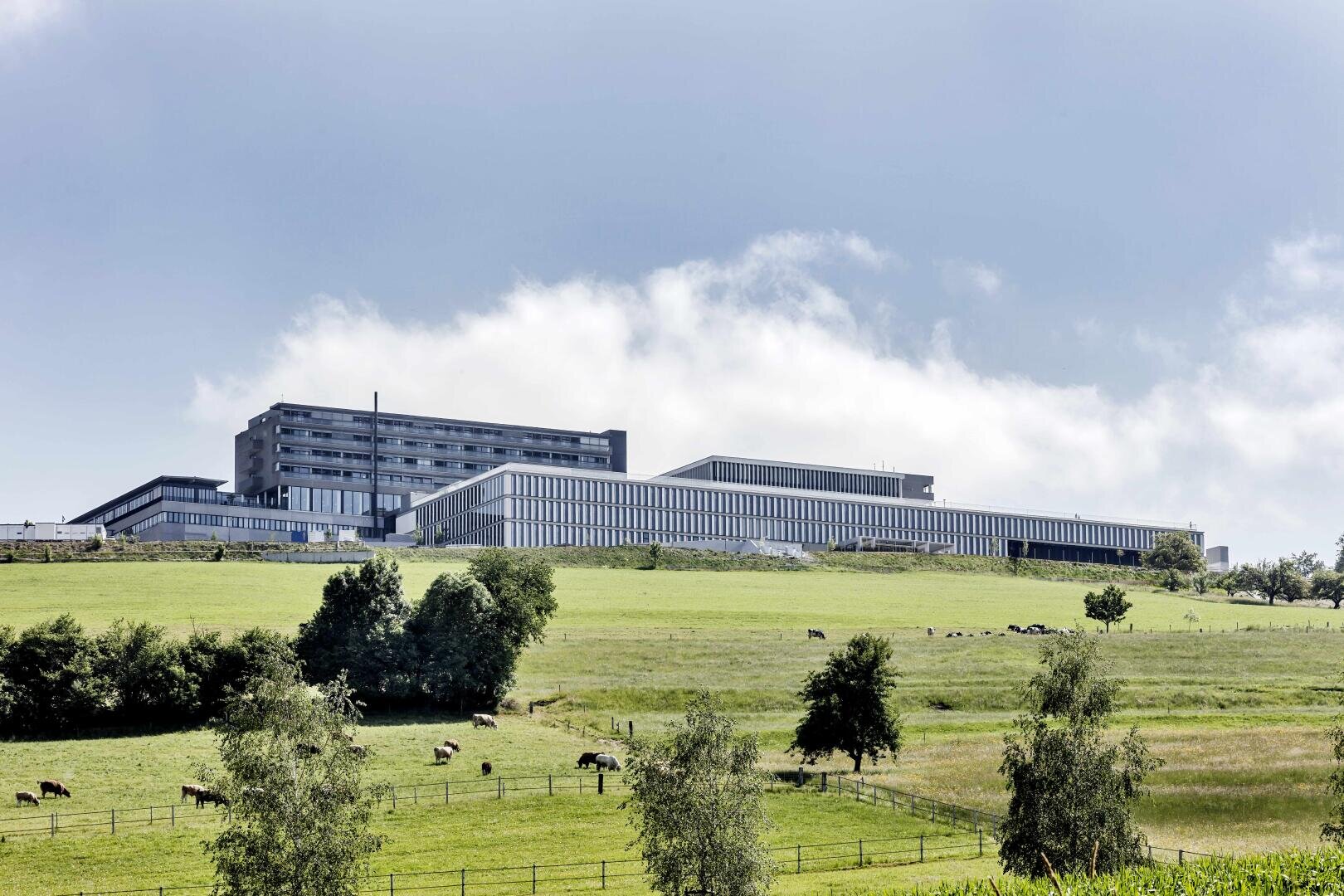Ein modernes Krankenhausgebäude steht auf einem grünen Hügel unter einem teilweise bewölkten Himmel, im Vordergrund weiden Kühe und stehen Bäume.