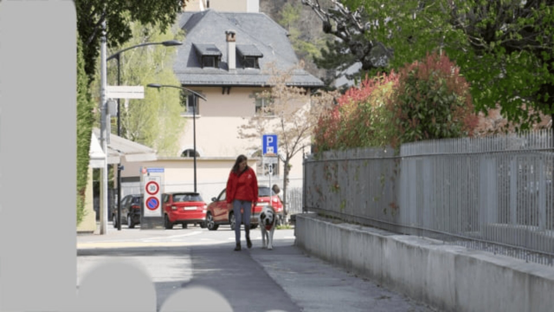 Eine Person in einer roten Jacke geht mit einem großen Hund auf einem Gehweg neben einem Zaun spazieren, eine weitere Person ist in der Nähe. Bäume, Büsche und geparkte Autos säumen die Straße in einem Wohngebiet.