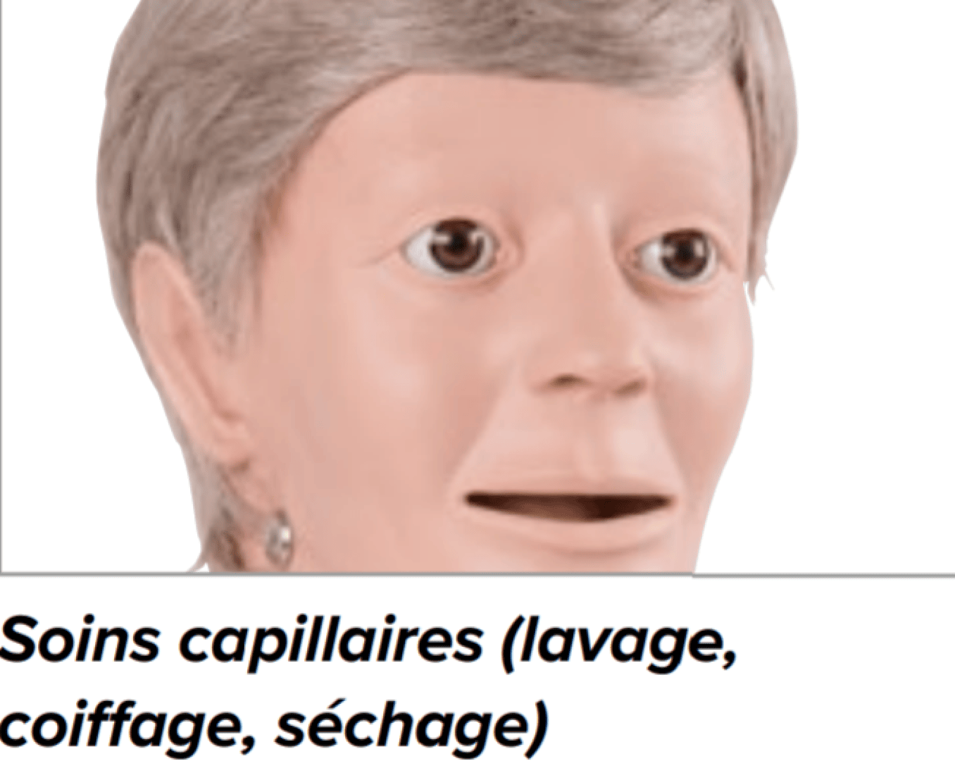 Ein Mannequin-Kopf über dem französischen Text: Haarpflege (Waschen, Stylen, Föhnen).