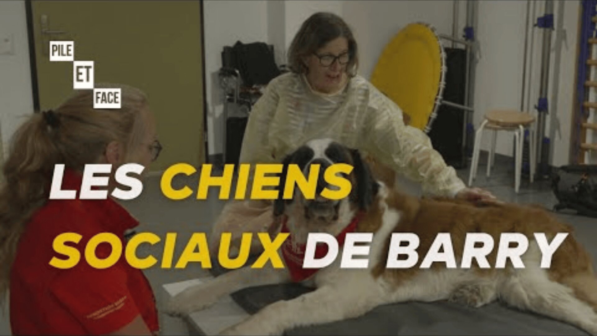 Deux femmes sont assises avec un grand chien Saint-Bernard couché sur une table. Le texte en français sur l'image se lit comme suit : Les chiens sociaux de Barry.