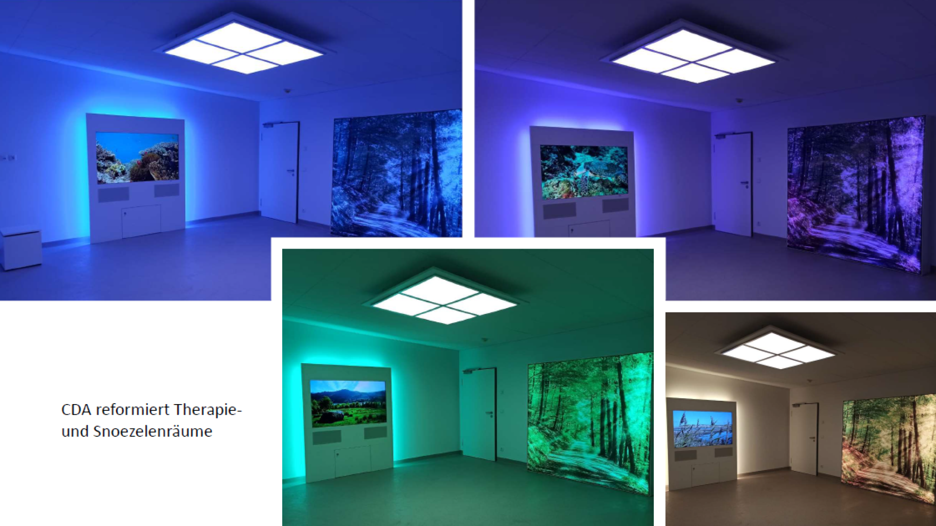 Vier Bilder zeigen einen Therapieraum mit wandgroßen beleuchteten Waldszenen und einem Fernsehbildschirm. Die Raumbeleuchtung wechselt die Farben: blau, lila, grün und weiß. Der deutsche Text lautet: CDA reformiert Therapie- und Snoezelenräume.