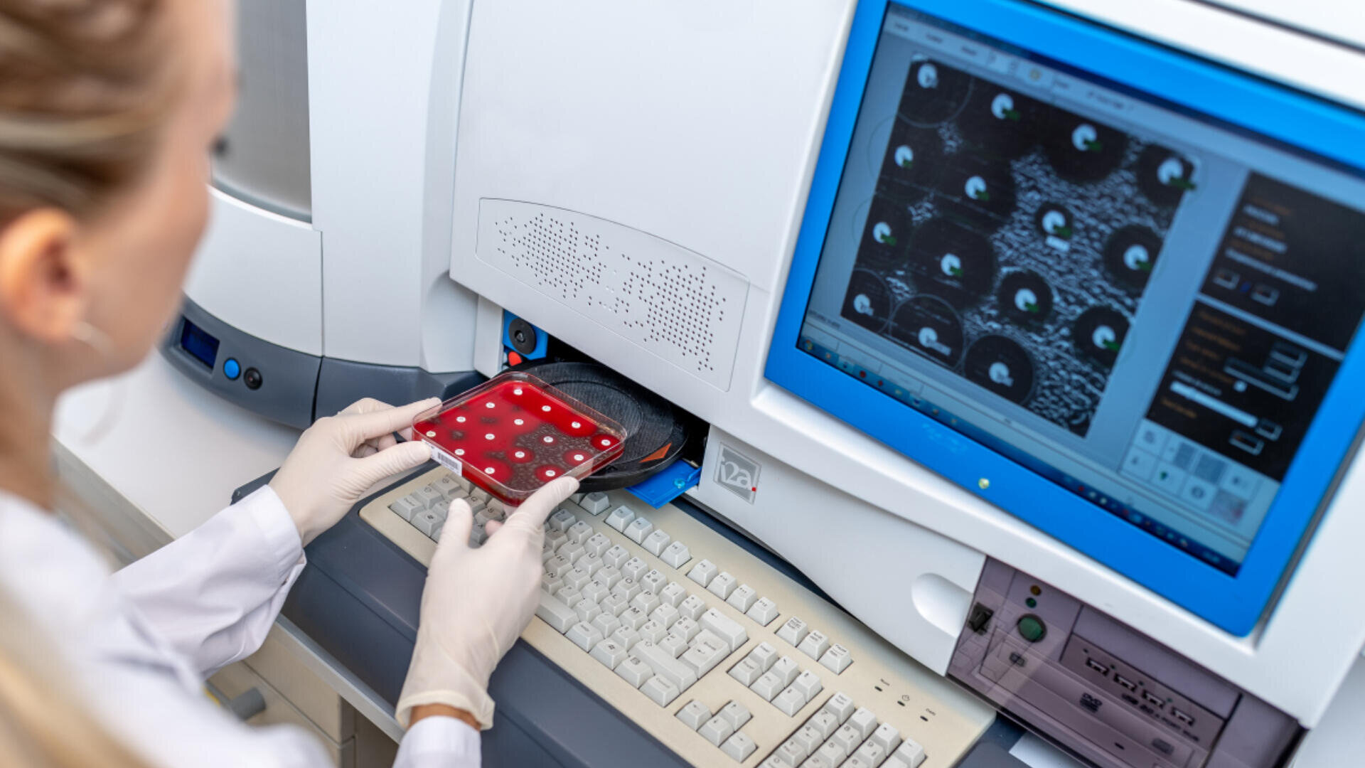 Ein Labortechniker mit Handschuhen stellt eine Petrischale mit Proben in eine Maschine neben einem Computerbildschirm, auf dem wissenschaftliche Daten und Probenbilder angezeigt werden.