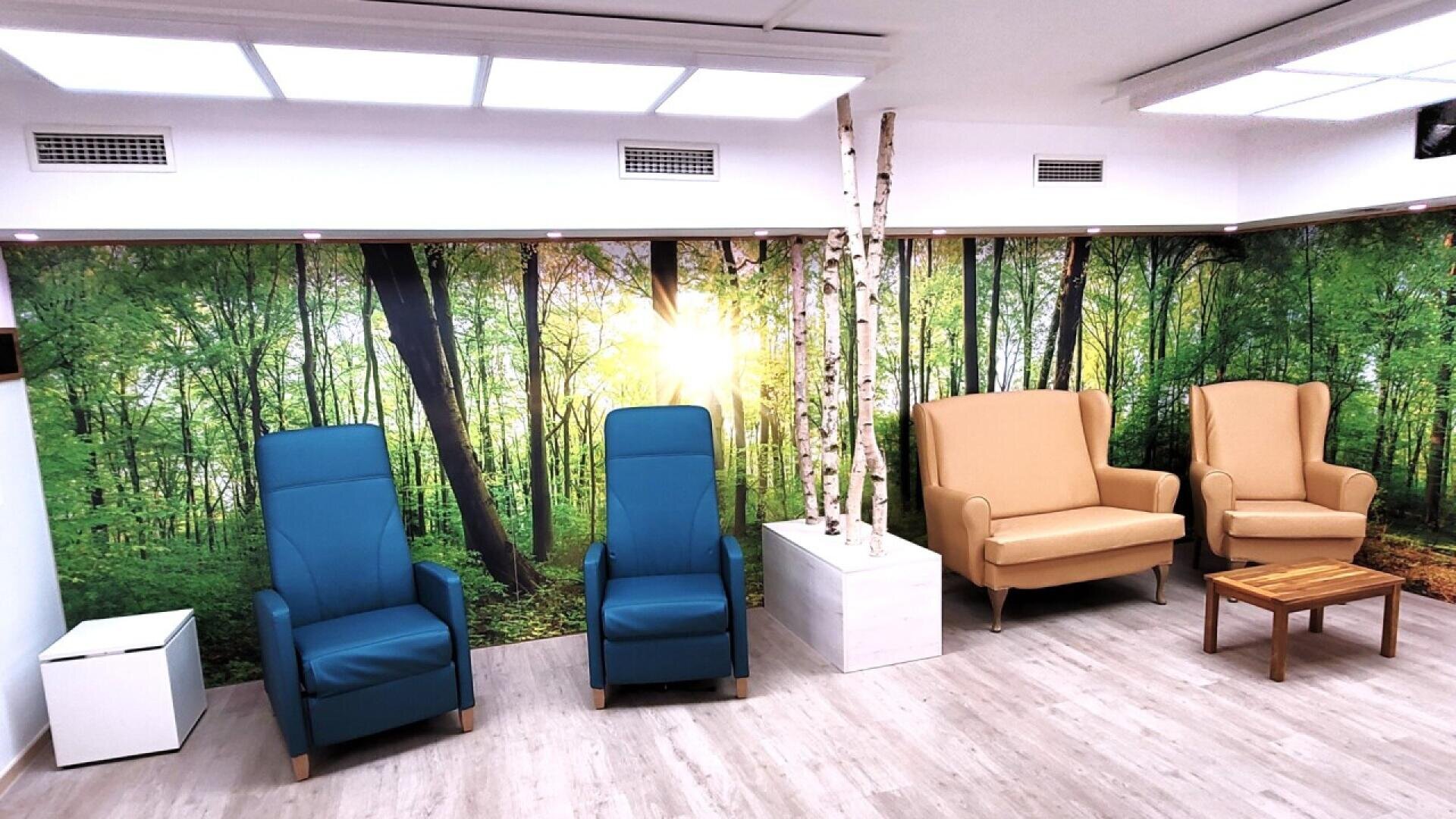 Une salle d'attente avec deux chaises bleues, deux fauteuils beiges, une petite table en bois et un décor de bouleau. Le mur est orné d'une grande fresque représentant une forêt éclairée par le soleil. Le sol est en bois clair et l'éclairage est intense.