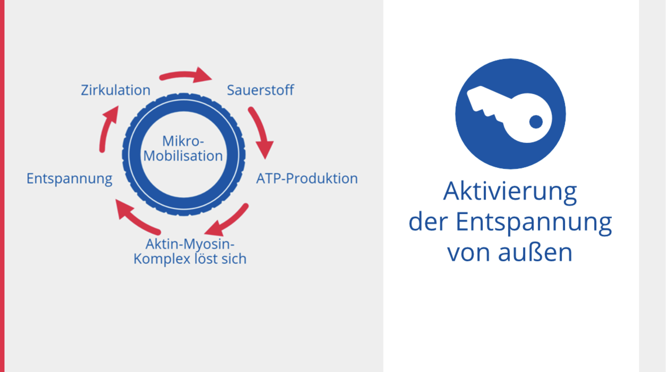 Aktivierung der Entspannung von außen.png (0.3 MB)