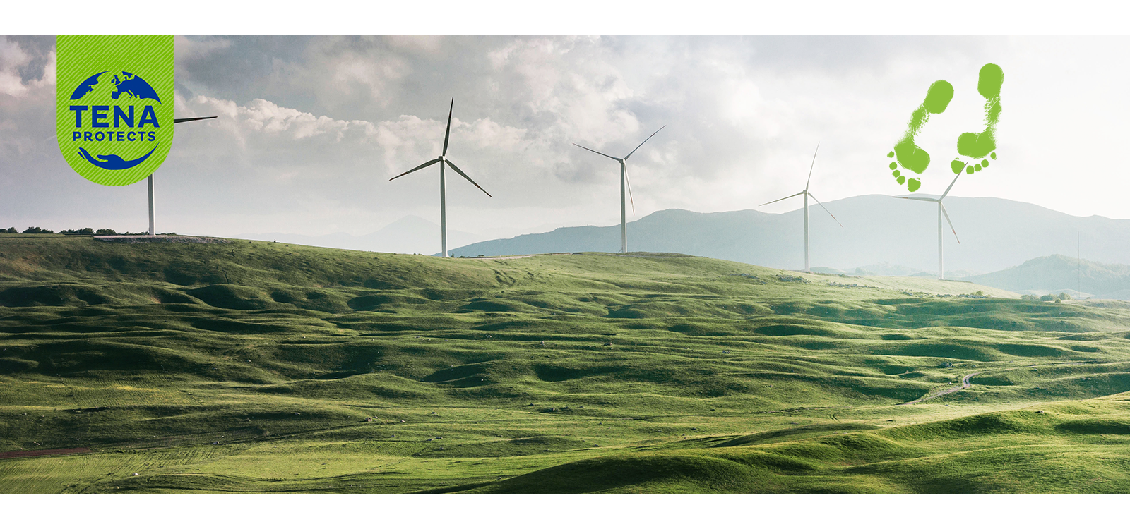 cosanum_tena-sustainability-windcraft-green-field.png (1.9 MB)