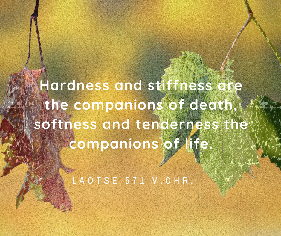 Hardness and stiffness are the companions of death, softness and tenderness the companions of life..png (1.8 MB)