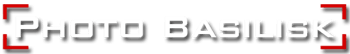 basilisk.png (0 MB)